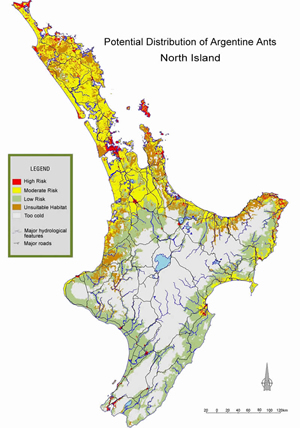 predicted distribution of Argentine ants in North Island