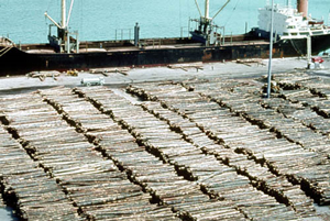 Logs at port to be loaded for export