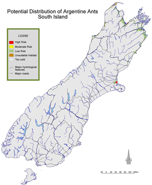 predicted distribution of Argentine ants in South Island