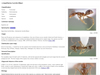Go to Argentine ant fact sheet