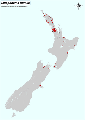 distribution map